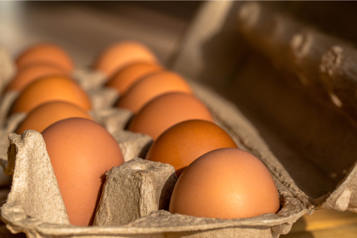 Dowiedz się, czy można jeść jajka codziennie i jak ich spożycie wpływa na organizm!